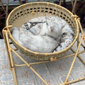 竹を編み込んだ透かし細工の猫用ロッキングベッド
