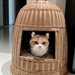 竹製の猫小屋