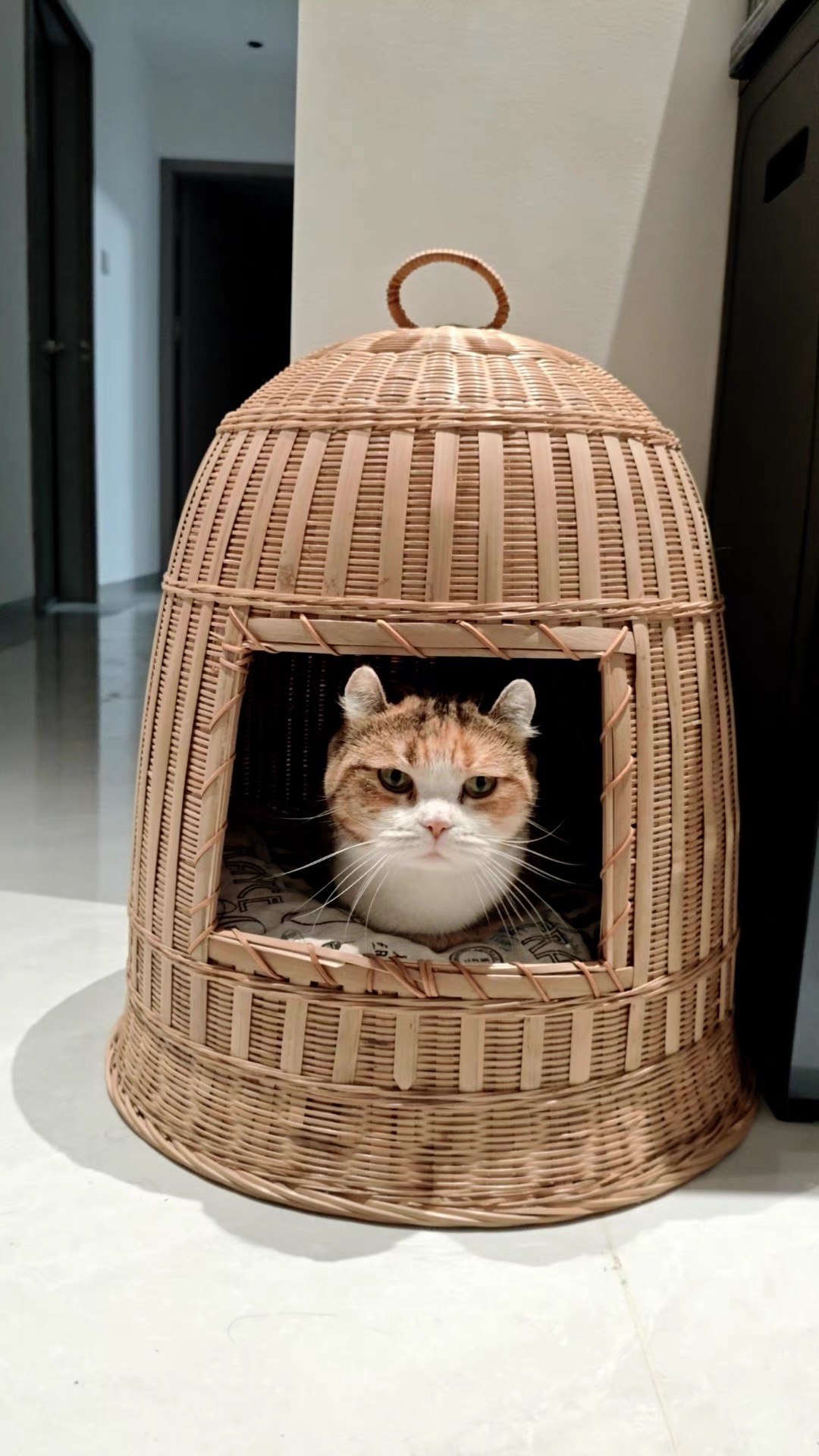 竹製の猫小屋